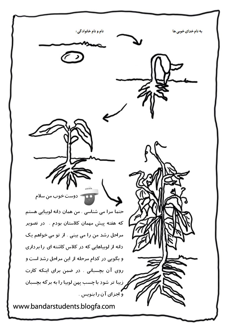 نقاشی کودکانه لوبیا